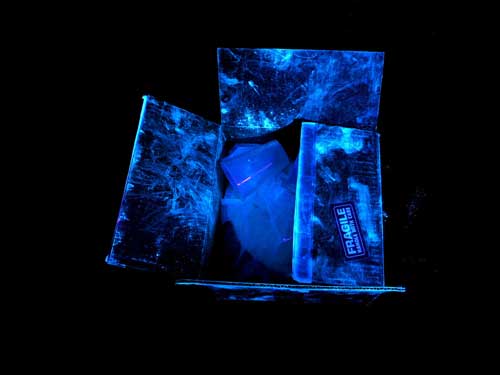 Beautiful Terror: Pesticides All Around Us?